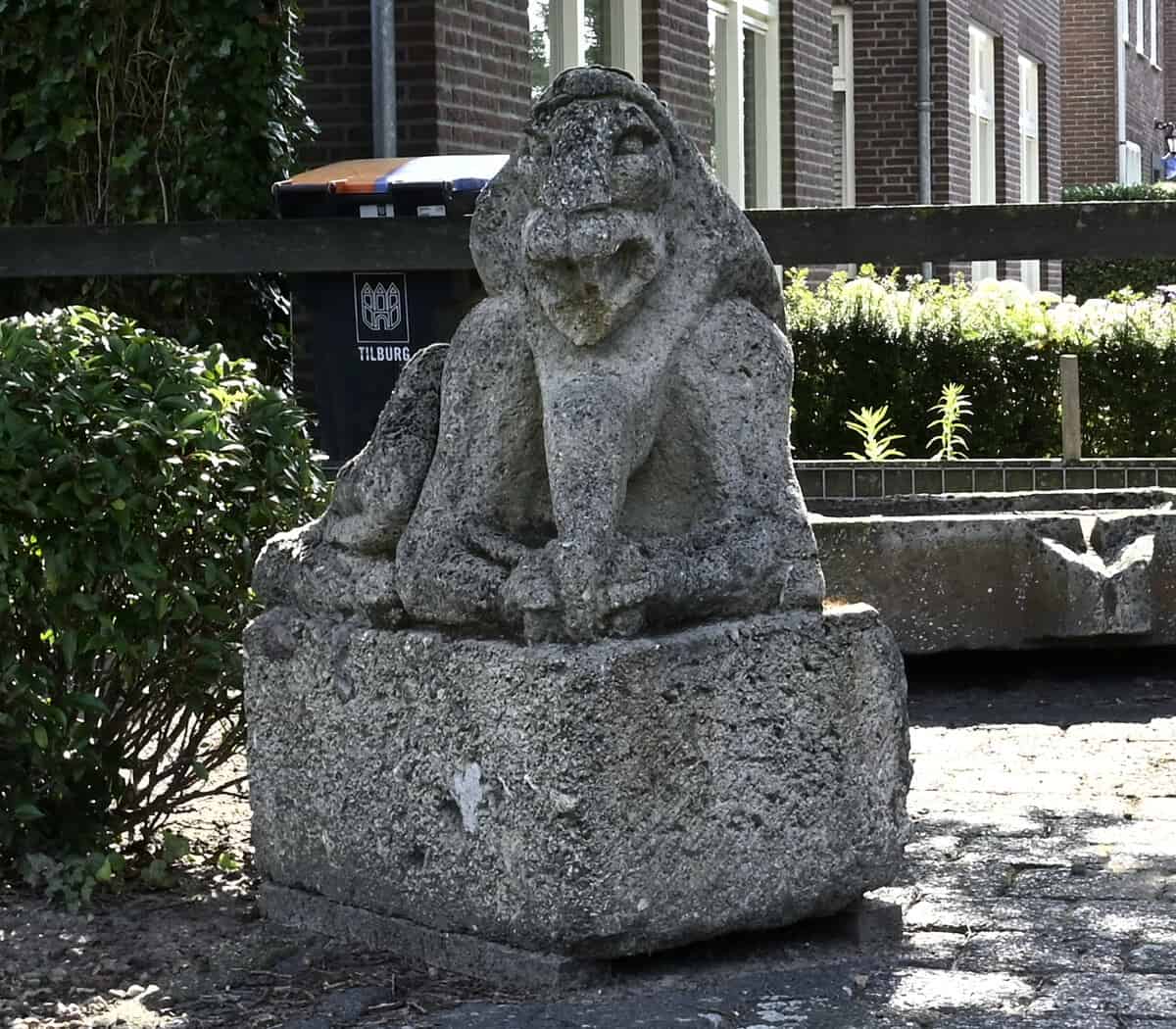 Mooie-set-unieke-beelden