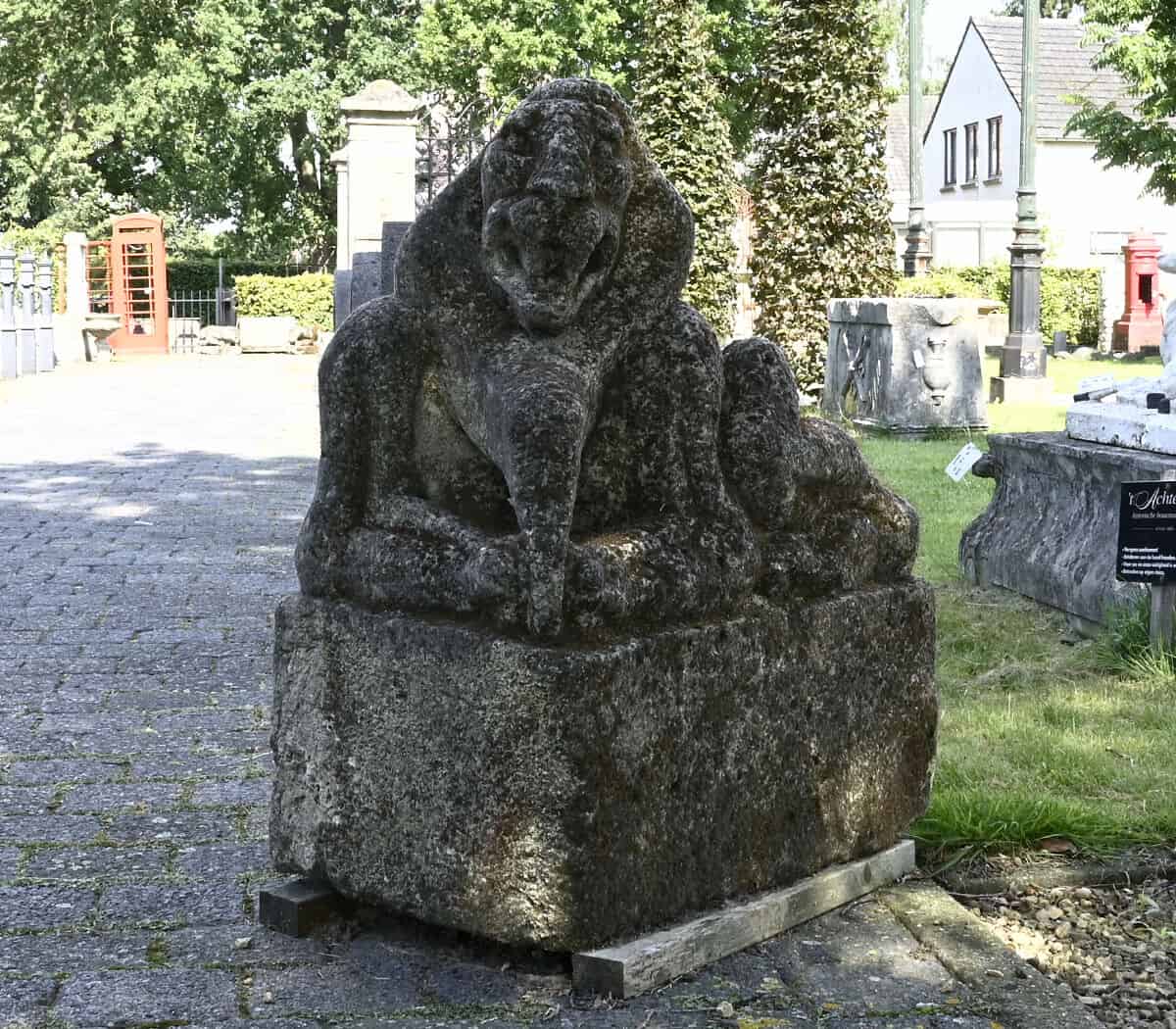 Mooie-set-unieke-beelden