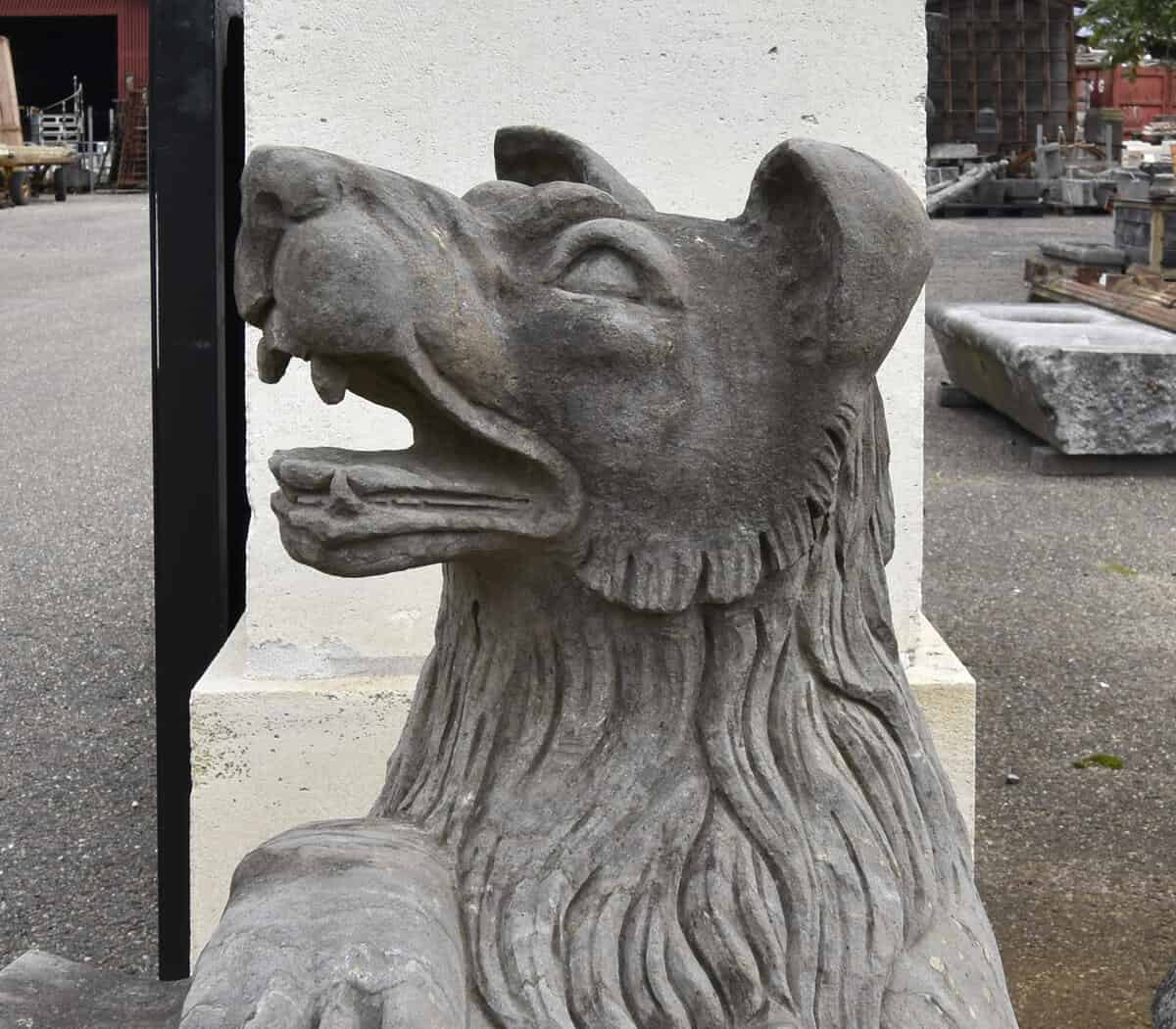 Set-van-2-honden-met-schild