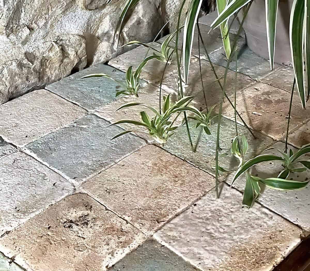 Cotto-Etrusco-Italiaanse-wand-en-vloertegels