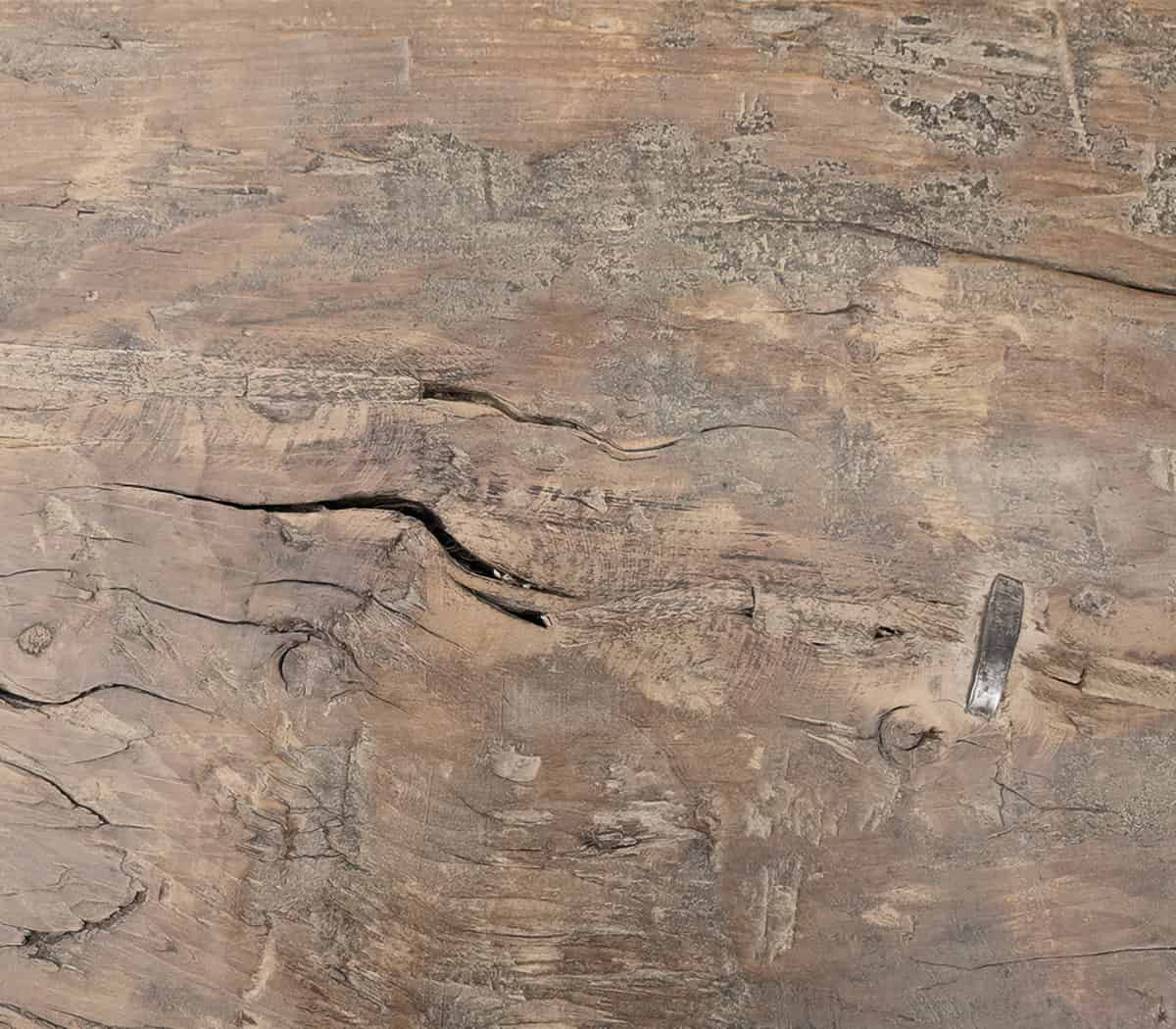 Robuuste-boomstam-bank