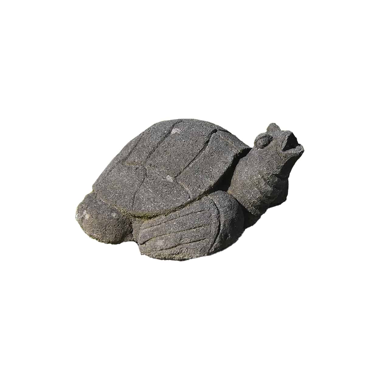 stenen-schildpad-klein