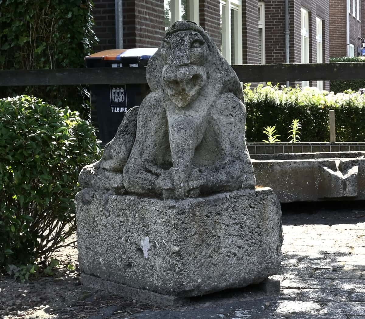 Mooie-set-unieke-beelden