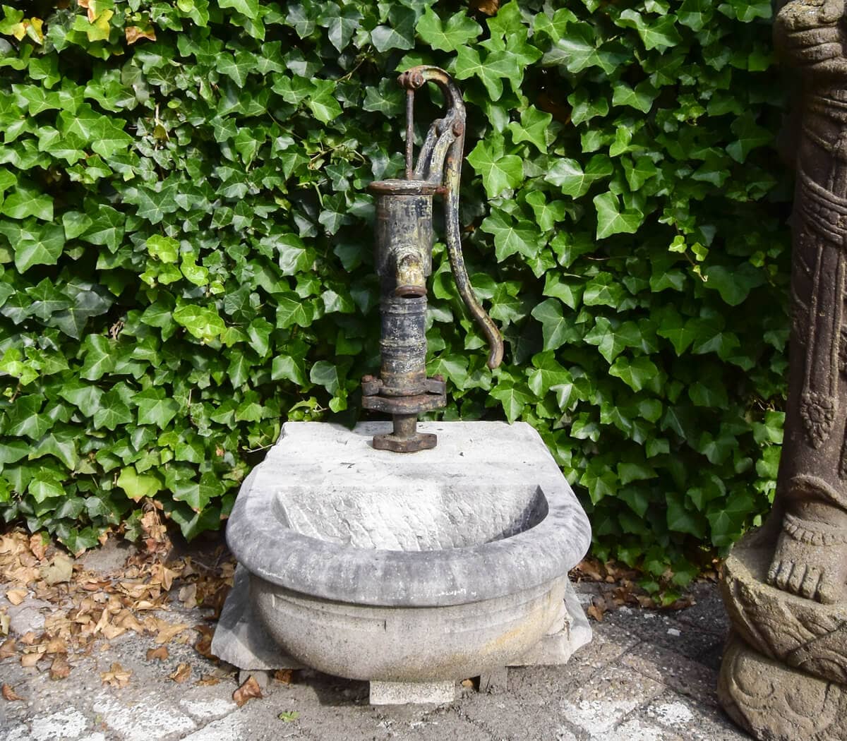 Waterpomp-met-bak