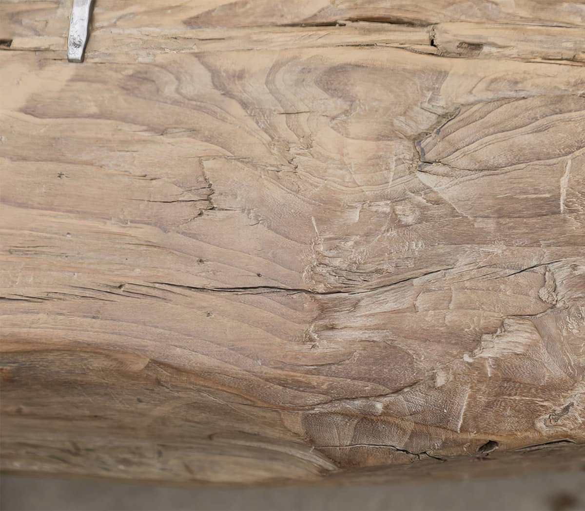 Robuuste-boomstam-bank