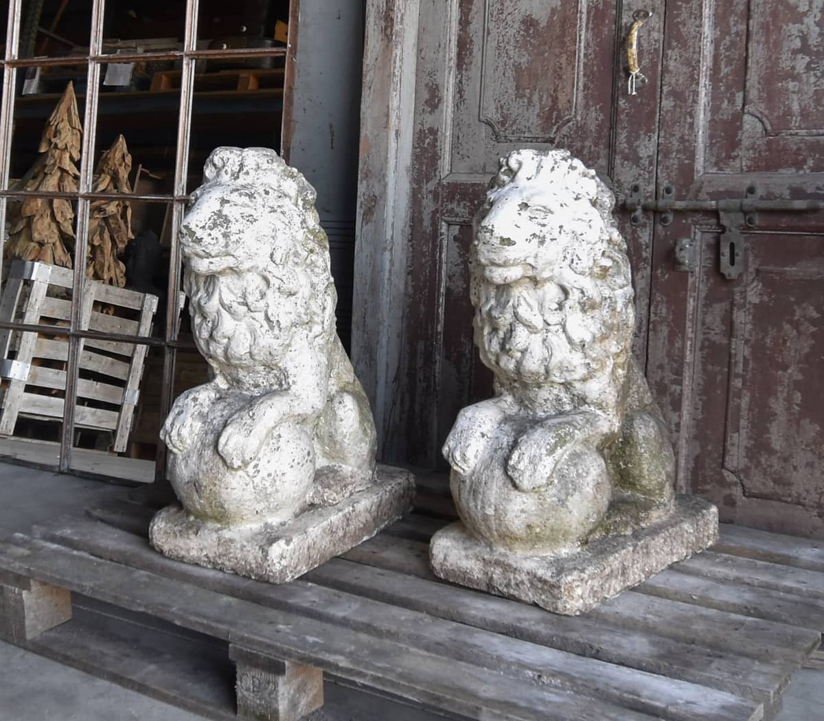 Set-van-2-stenen-leeuwen